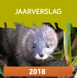 GNF jaarverslag 2018