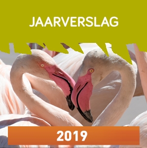 GNF jaarverslag 2019