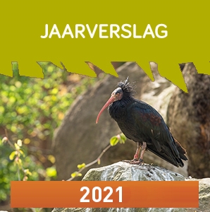 GNF jaarverslag 2021