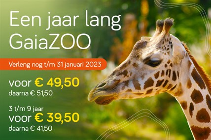 Gaia ZOO_visuals _Mijn Gaia ZOO_882x 588_NL_1122_verleng @2x