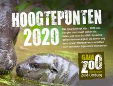 hoogtepunten 2020 - def