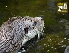 GaiaZOO gesloten 15-07-2021