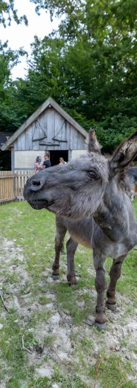 Welkom in het vernieuwde Limburgse hart van de ZOO!