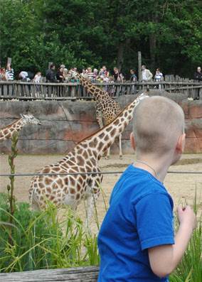 GaiaZOO dierentuin rondleiding