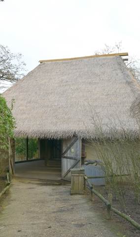 Week 8 - CheetaShelter gedeeltelijk nieuw dak - GaiaZOO