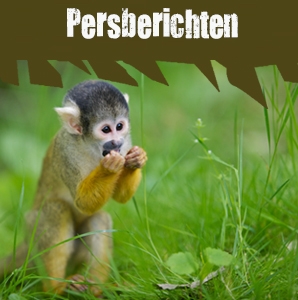 Persberichten bekijken