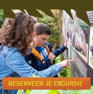 Widget reserveer EXCURSIE V2