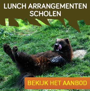 lunch arrangementen scholen V2