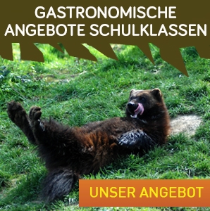 Gastronomische angebot schulklasse