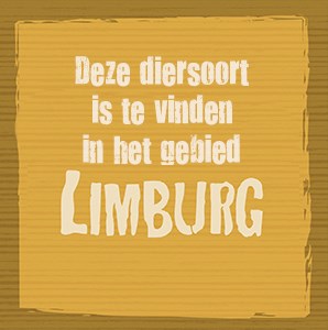 widget-limburg