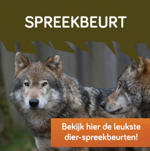 spreekbeurt - widget