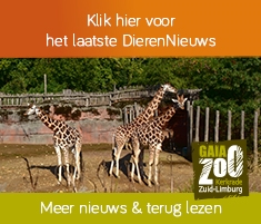 widget het laatste DierenNieuws