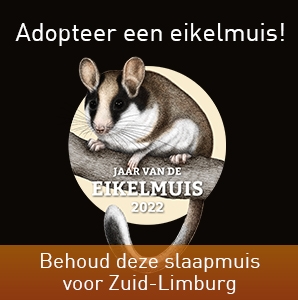 GaiaZOO-widgets-300x300-2022 Adopteer een eikelmuis