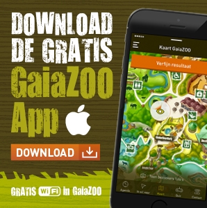 GaiaZOO_widget_APP_iOS_NL_01