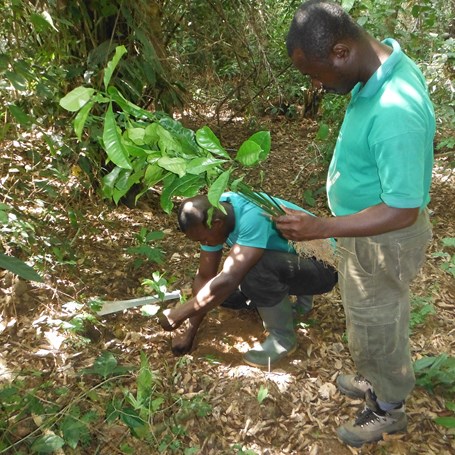 Biodiversiteit hotspot