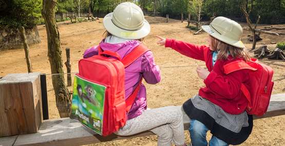 Kinderfeestje safari