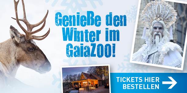 GaiaZOO_slider_611x304_1122_Winter_DE