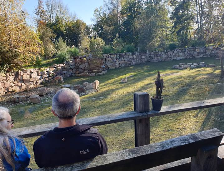 Op dit terras kun je heerlijk zitten en uitkijken over het nieuwe Pampagebied! Is dit ook één van jouw favoriete plekjes in GaiaZOO?