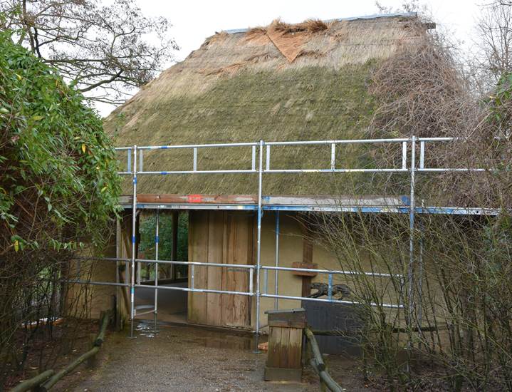 Week 5 - Oude dak CheetaShelter - GaiaZOO