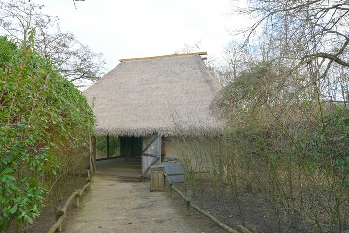 Week 8 - CheetaShelter gedeeltelijk nieuw dak - GaiaZOO