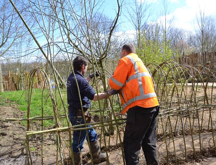 Week 18 - WilgenTunnel maken - GaiaZOO