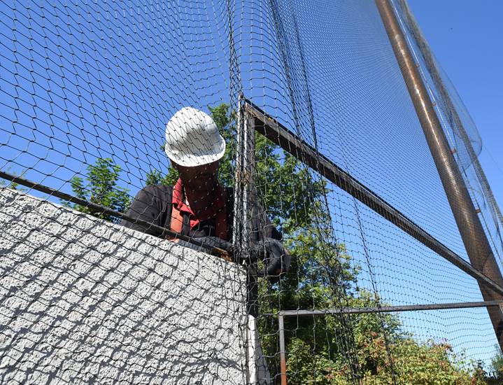 Week 35 - Nettenbouwer aan het werk - GaiaZOO