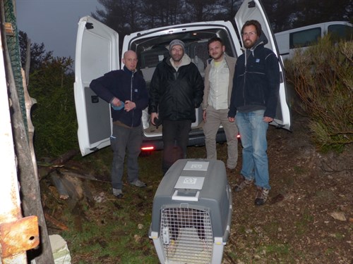 Arrival Of New Birds From Spain @ VCF