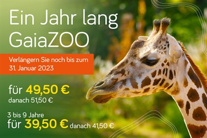 Gaia ZOO_visuals _Mijn Gaia ZOO_882x 588_DE_1122_verleng @2x