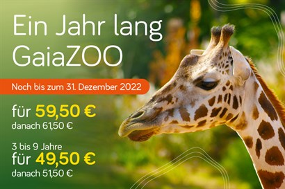 Gaia ZOO_visuals _Mijn Gaia ZOO_882x 588_DE_1122_nieuwabo @2x